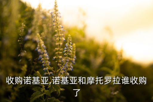 中國收購諾基亞,諾基亞和摩托羅拉誰收購了