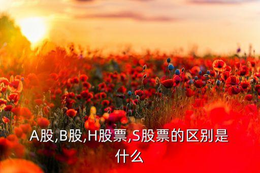 A股,B股,H股票,S股票的區(qū)別是什么