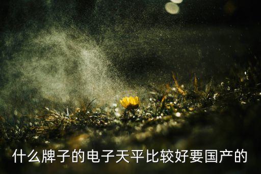 什么牌子的電子天平比較好要國產(chǎn)的