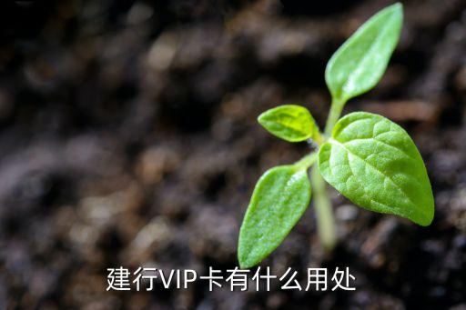 建行VIP卡有什么用處