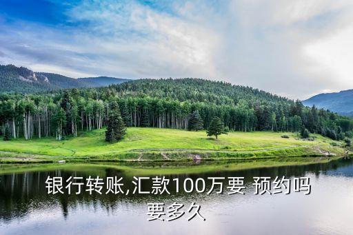  銀行轉(zhuǎn)賬,匯款100萬要 預(yù)約嗎要多久