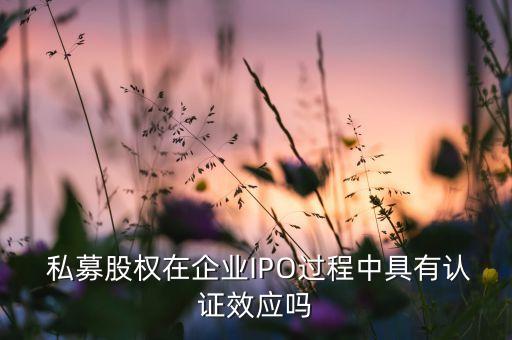  私募股權(quán)在企業(yè)IPO過程中具有認證效應(yīng)嗎