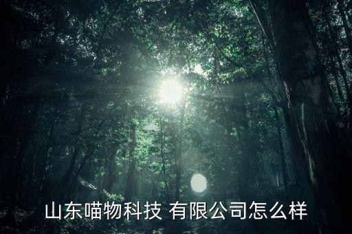 山東喵物科技 有限公司怎么樣