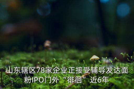 山東轄區(qū)78家企業(yè)正接受輔導發(fā)達面粉IPO門外“徘徊”近6年