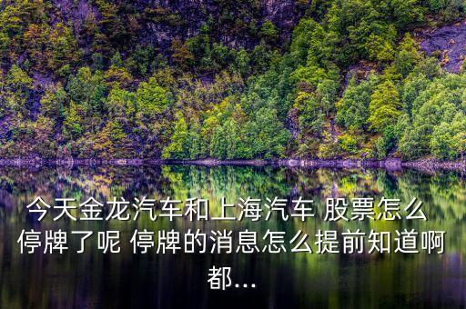 今天金龍汽車和上海汽車 股票怎么 停牌了呢 停牌的消息怎么提前知道啊都...