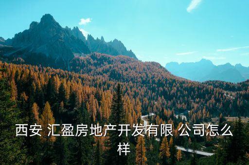 西安 匯盈房地產(chǎn)開(kāi)發(fā)有限 公司怎么樣