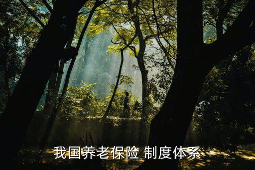 中國現(xiàn)行養(yǎng)老金制度,中國的養(yǎng)老金制度內(nèi)容