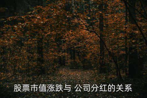 股票市值漲跌與 公司分紅的關(guān)系