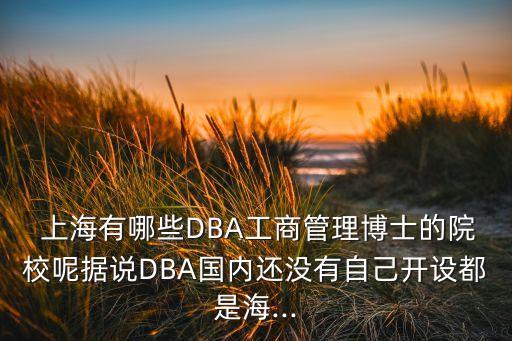  上海有哪些DBA工商管理博士的院校呢據(jù)說DBA國內還沒有自己開設都是海...