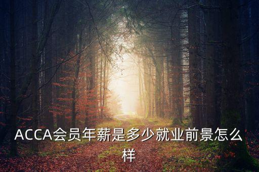 ACCA會(huì)員年薪是多少就業(yè)前景怎么樣