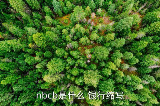 nbcb是什么 銀行縮寫