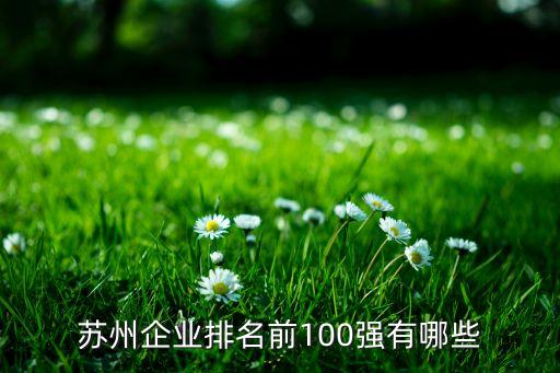 蘇州企業(yè)排名前100強有哪些