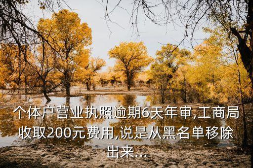 個體戶營業(yè)執(zhí)照逾期6天年審,工商局收取200元費用,說是從黑名單移除出來...