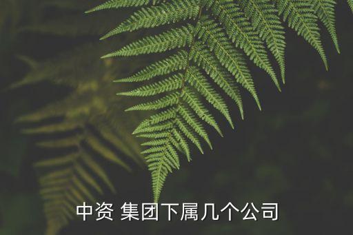 中資 集團下屬幾個公司