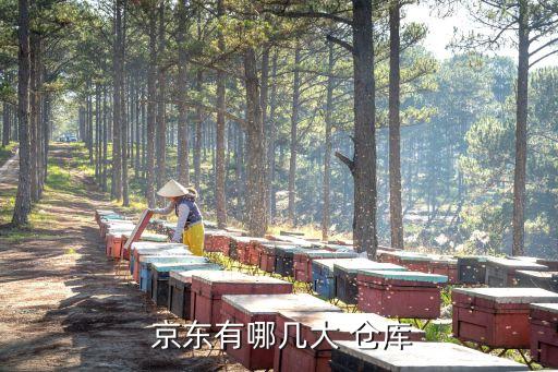  京東有哪幾大 倉庫