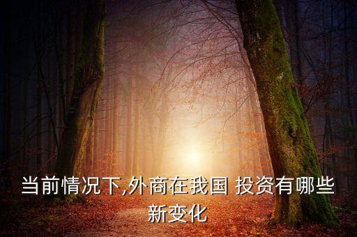 當(dāng)前情況下,外商在我國 投資有哪些新變化