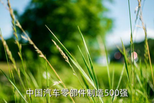 中國汽車零部件制造500強(qiáng)