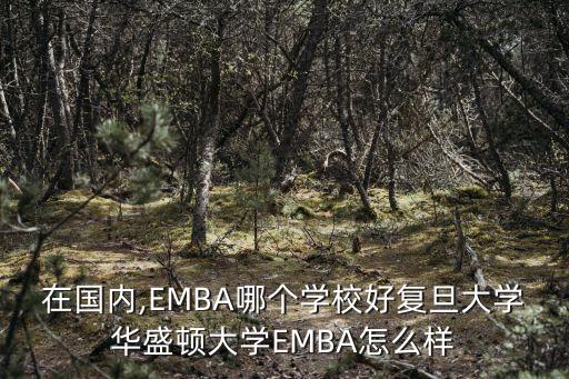 中國最好的emba