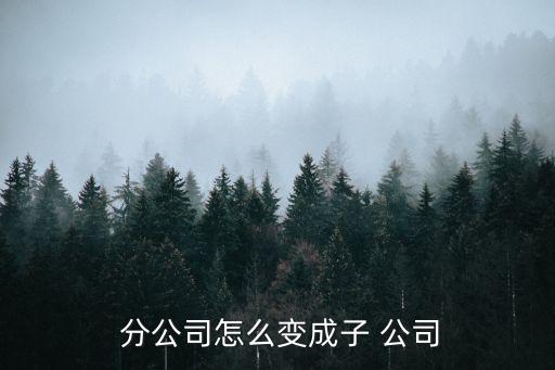  分公司怎么變成子 公司