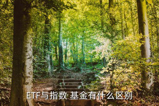 ETF與指數(shù) 基金有什么區(qū)別