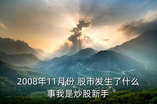 2008年11月份 股市發(fā)生了什么事我是炒股新手