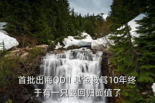 首批出海QDII 基金被罵10年終于有一只要回歸面值了