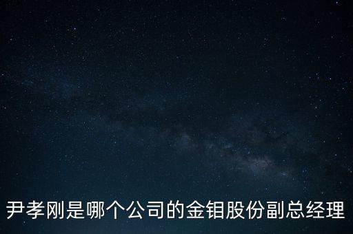 尹孝剛是哪個(gè)公司的金鉬股份副總經(jīng)理