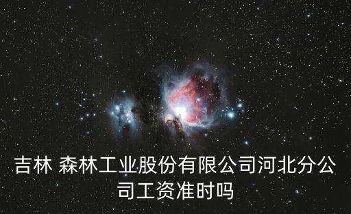 吉林 森林工業(yè)股份有限公司河北分公司工資準(zhǔn)時嗎