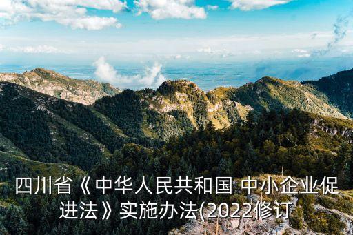 四川省《中華人民共和國 中小企業(yè)促進法》實施辦法(2022修訂