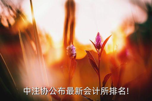 國富浩華會計師事務(wù)所上海分所,香港國富浩華會計師事務(wù)所