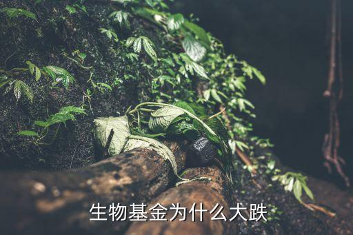 廣發(fā)生物科技股票市場,廣發(fā)納斯達(dá)克生物科技QDII