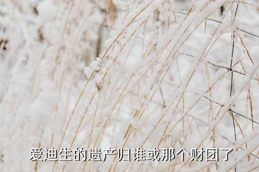  愛迪生的遺產(chǎn)歸誰或那個財(cái)團(tuán)了