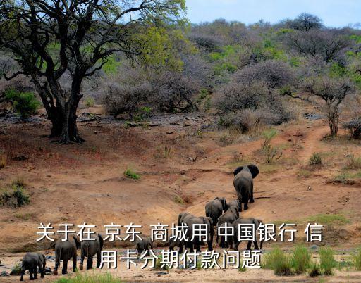 關(guān)于在 京東 商城用 中國(guó)銀行 信用卡分期付款問題