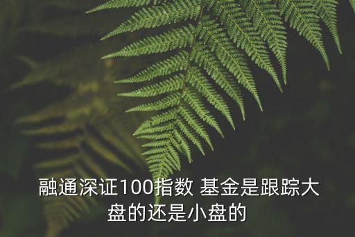  融通深證100指數(shù) 基金是跟蹤大盤的還是小盤的