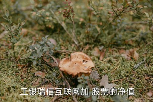  工銀瑞信互聯(lián)網(wǎng)加 股票的凈值