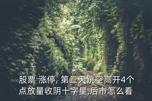  股票 漲停, 第二天跳空高開4個(gè)點(diǎn)放量收陰十字星,后市怎么看