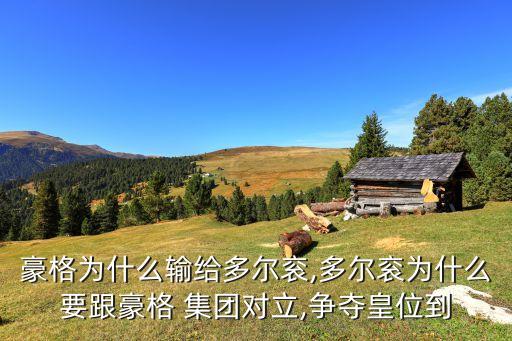 豪格為什么輸給多爾袞,多爾袞為什么要跟豪格 集團(tuán)對(duì)立,爭奪皇位到