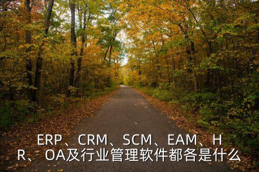 ERP、CRM、SCM、EAM、HR、 OA及行業(yè)管理軟件都各是什么