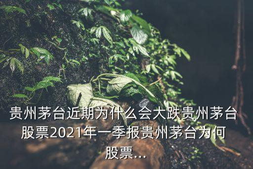 貴州茅臺(tái)近期為什么會(huì)大跌貴州茅臺(tái) 股票2021年一季報(bào)貴州茅臺(tái)為何 股票...