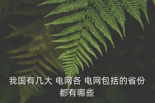 我國(guó)有幾大 電網(wǎng)各 電網(wǎng)包括的省份都有哪些