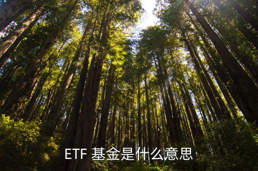 etf基金申購(gòu)和贖回,ETF基金申購(gòu)和贖回份額需要50萬份