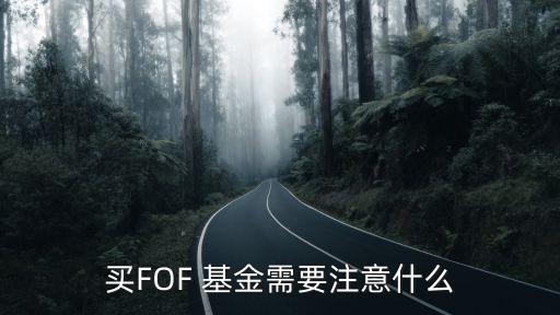 買FOF 基金需要注意什么