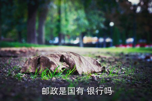 郵政儲(chǔ)蓄算大銀行嗎