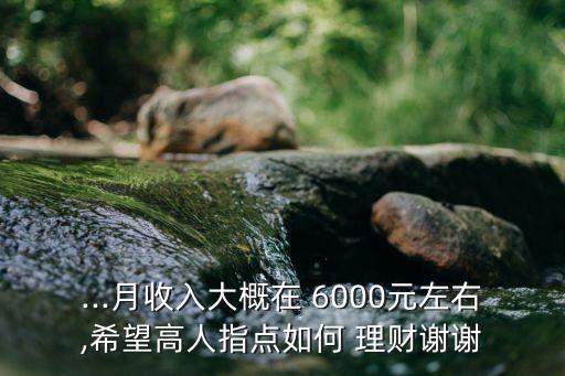 ...月收入大概在 6000元左右,希望高人指點(diǎn)如何 理財(cái)謝謝