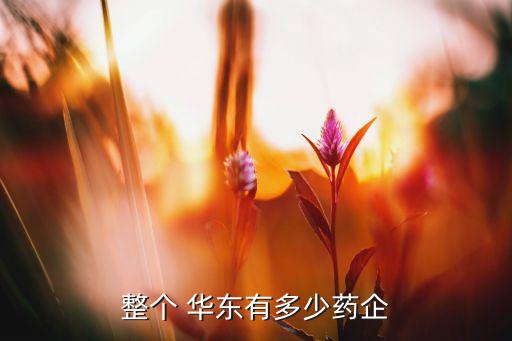 整個(gè) 華東有多少藥企