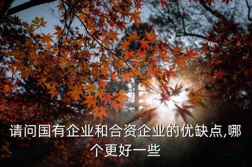 請(qǐng)問(wèn)國(guó)有企業(yè)和合資企業(yè)的優(yōu)缺點(diǎn),哪個(gè)更好一些