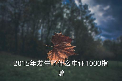 2015年發(fā)生了什么中證1000指增