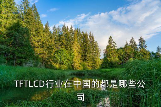 TFTLCD行業(yè)在中國(guó)的都是哪些公司