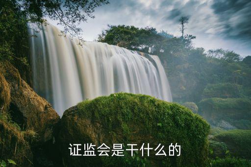 證監(jiān)會是干什么的