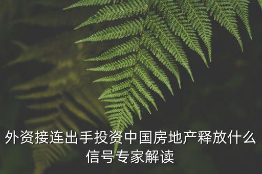 外資接連出手投資中國房地產(chǎn)釋放什么信號專家解讀